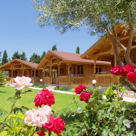 Sandys Studios Apartments And Log Villas Psalidi  Luaran gambar